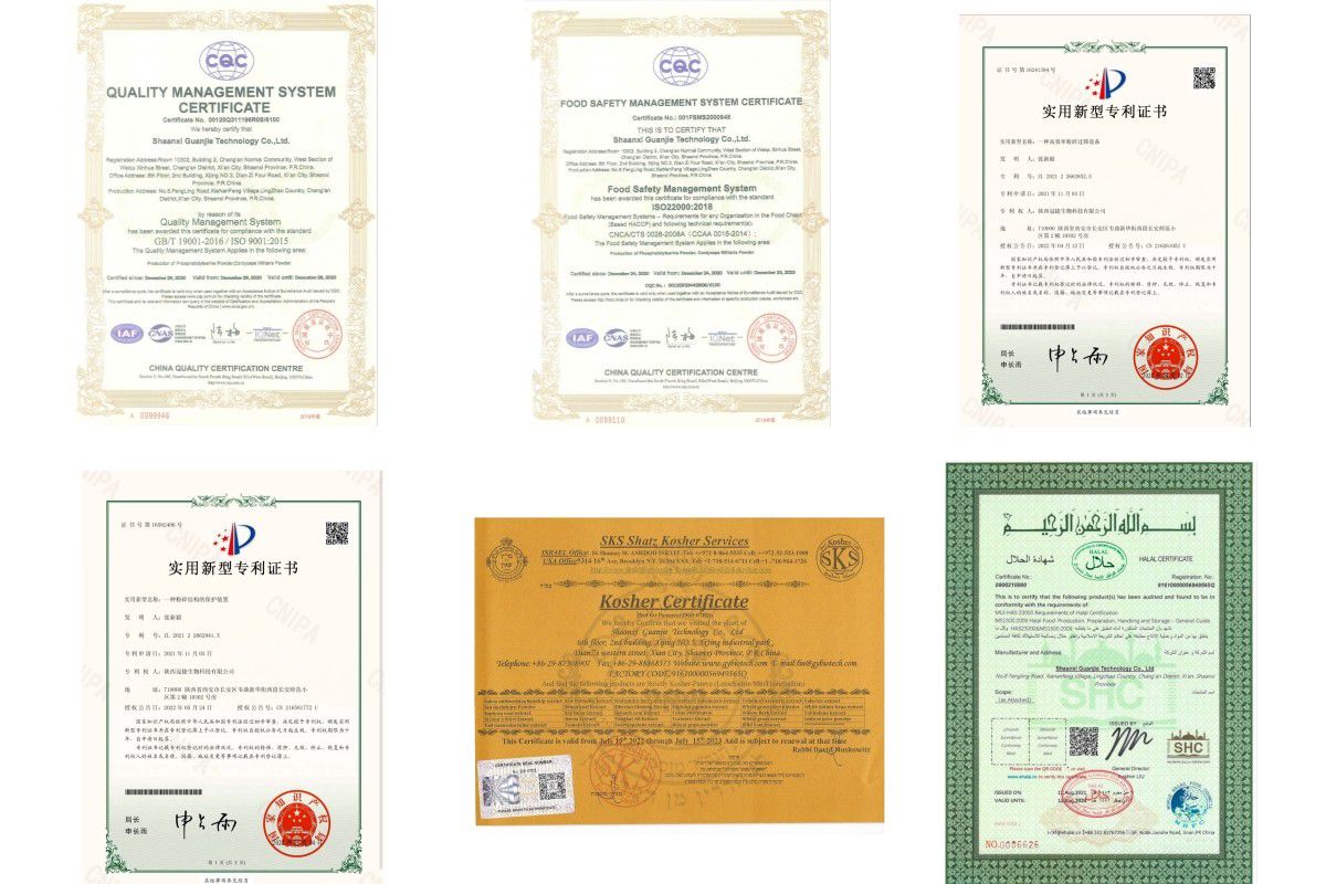 product-1200-800 cert.