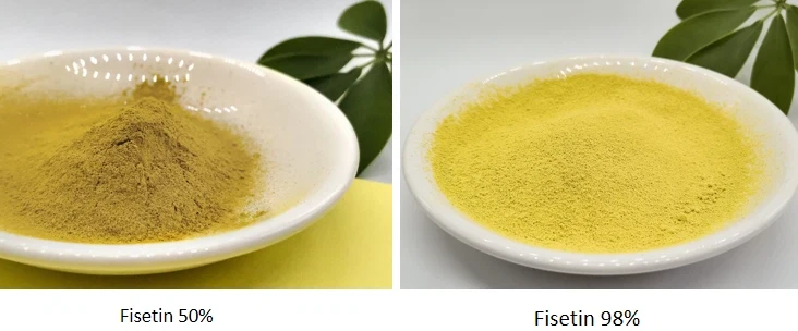 product-732-304 fisetin powder