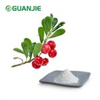 Puhdas Alpha Arbutin -jauhe