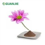 Echinacea Purpurea -uutejauhe