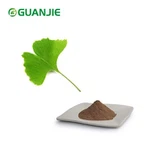 Ginkgo Flavone Glycosides -jauhe