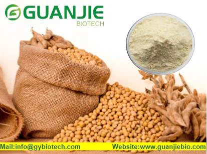 Soy isoflavones powder Soy isoflavones powder